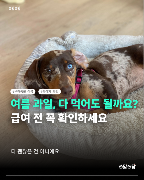 KakaoTalk_20260701_154320660.png