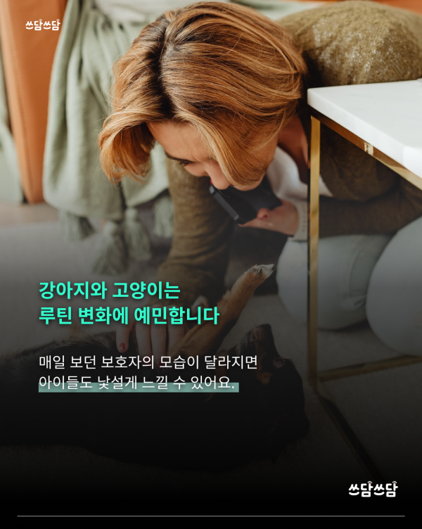 KakaoTalk_20260722_123522177_04.png