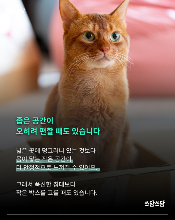 KakaoTalk_20260722_145605931_02.png