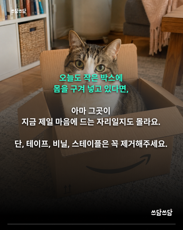 KakaoTalk_20260722_145605931_06.png