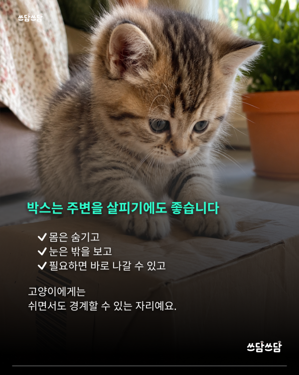 KakaoTalk_20260722_145605931_03.png
