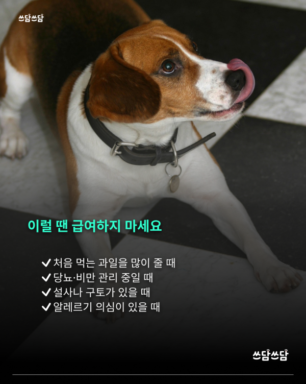 KakaoTalk_20260701_154320660_05.png