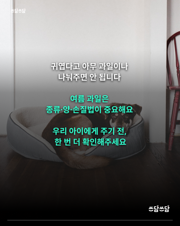 KakaoTalk_20260701_154320660_06.png