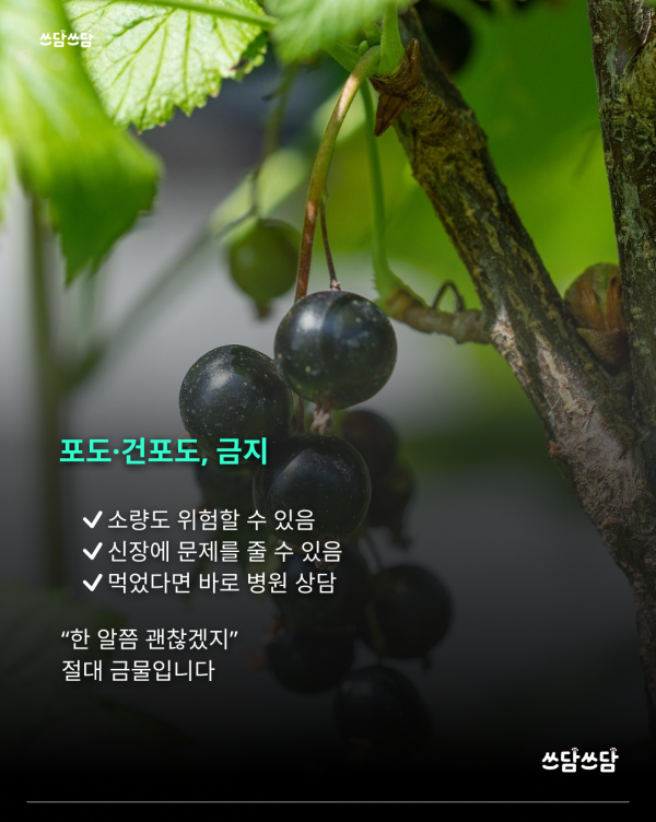 KakaoTalk_20260701_154320660_03.png