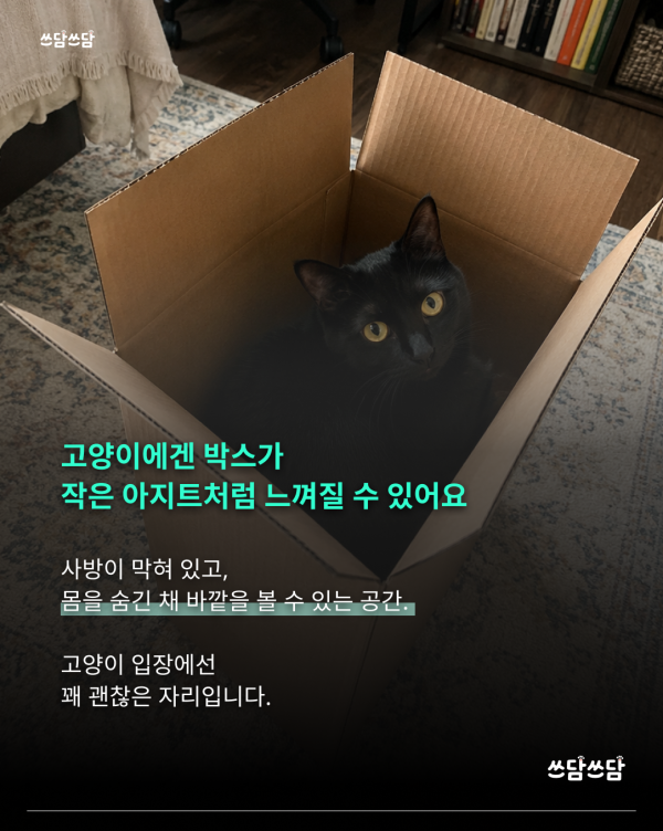 KakaoTalk_20260722_145605931_01.png