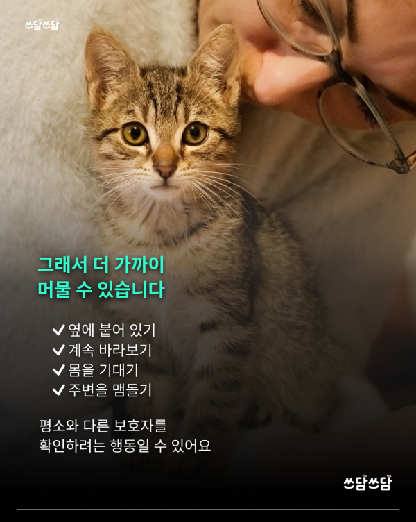 KakaoTalk_20260722_123522177_03.png
