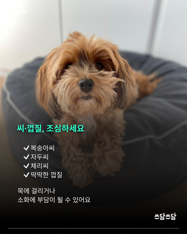 KakaoTalk_20260701_154320660_04.png