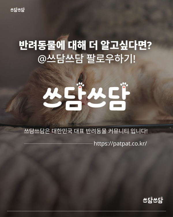 KakaoTalk_20260722_123522177_07.png