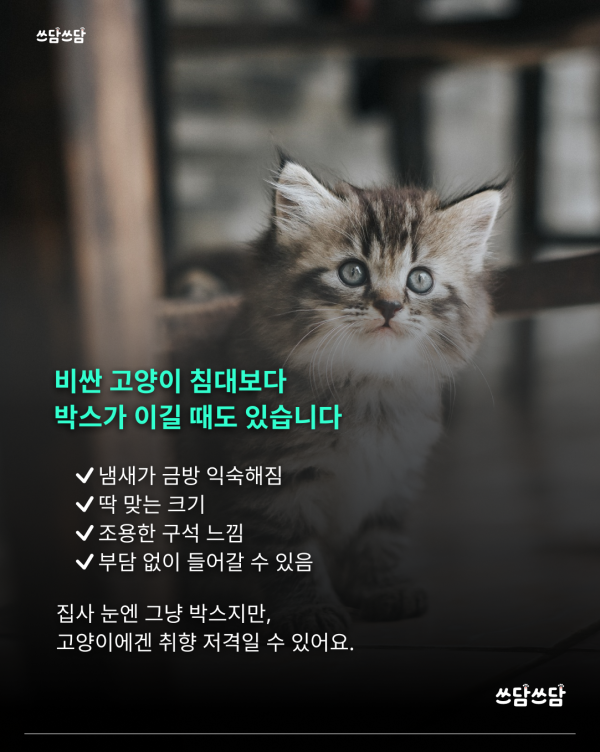 KakaoTalk_20260722_145605931_05.png