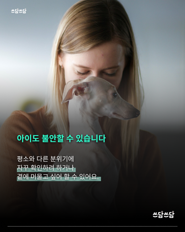KakaoTalk_20260722_123522177_05.png