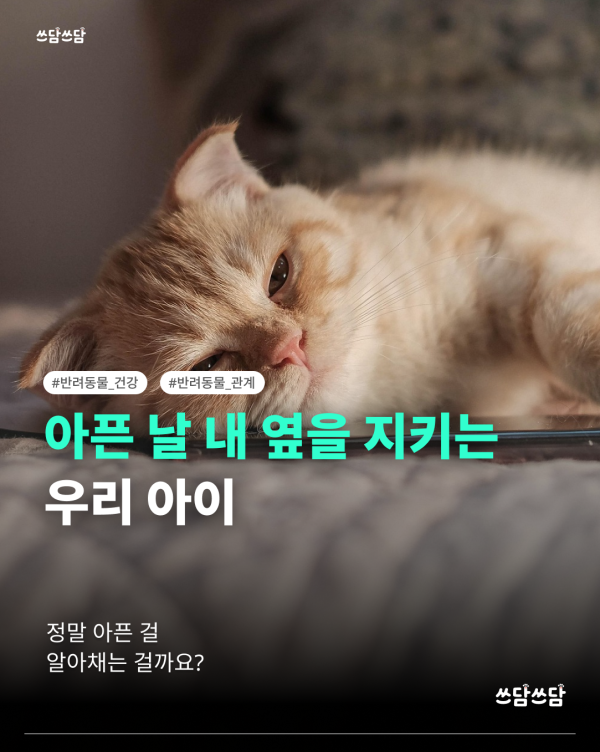 KakaoTalk_20260722_123522177.png