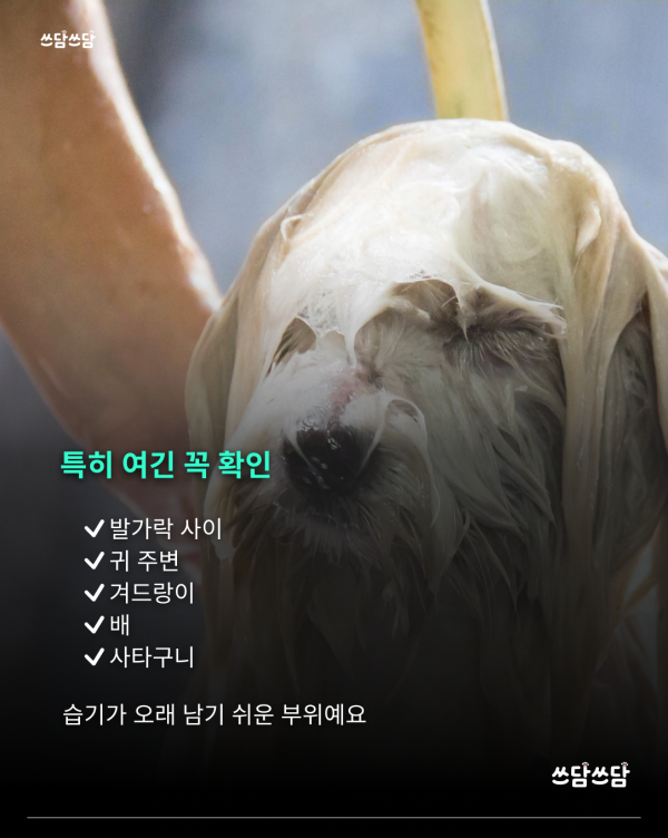 KakaoTalk_20260805_160816428_02.png
