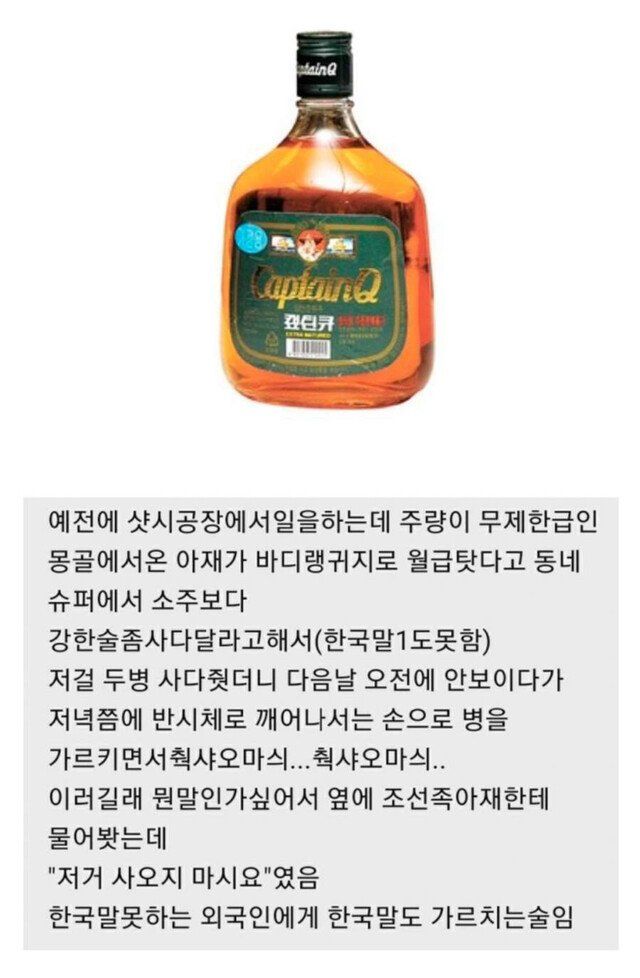 강제로 한국어를 깨닫게 만들어주는 술