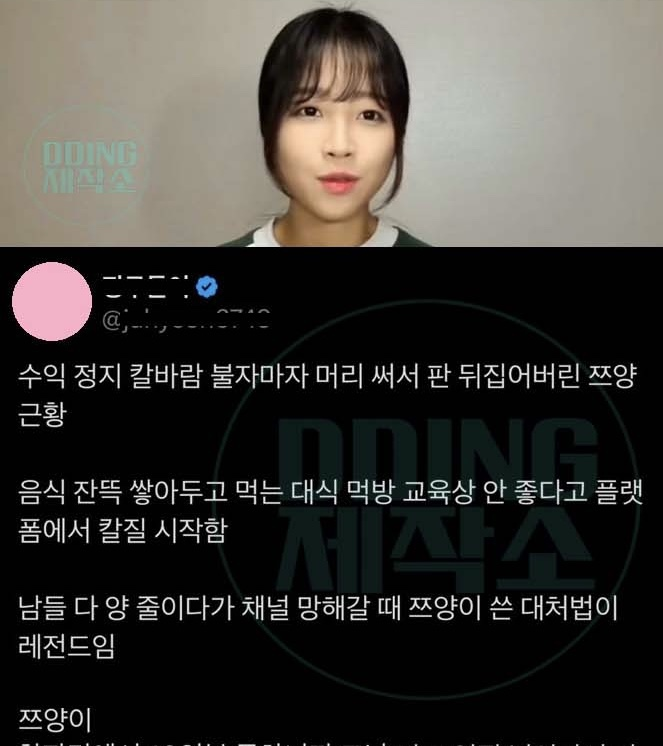 먹방유튜버 수익 정지 칼바람 불자마자 머리 써서 판 뒤집어버린 쯔양ㄷㄷ