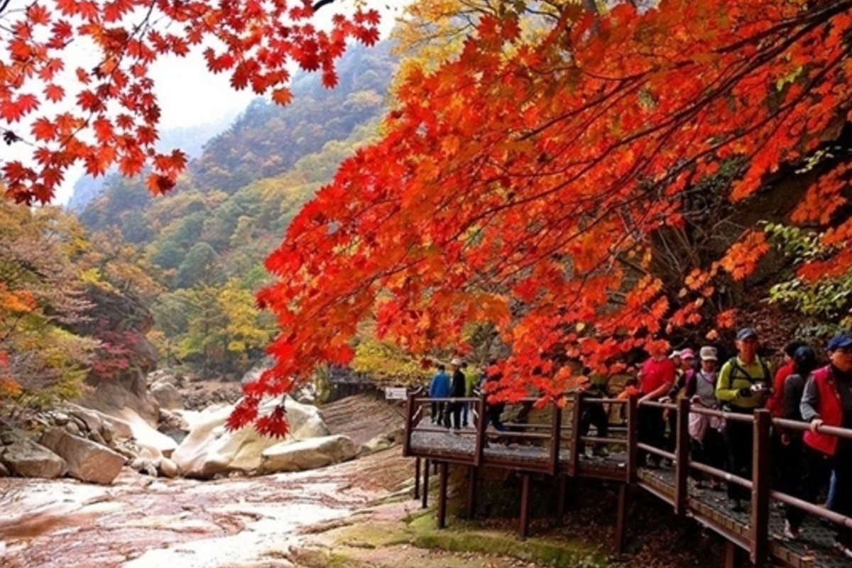 사진=코레일