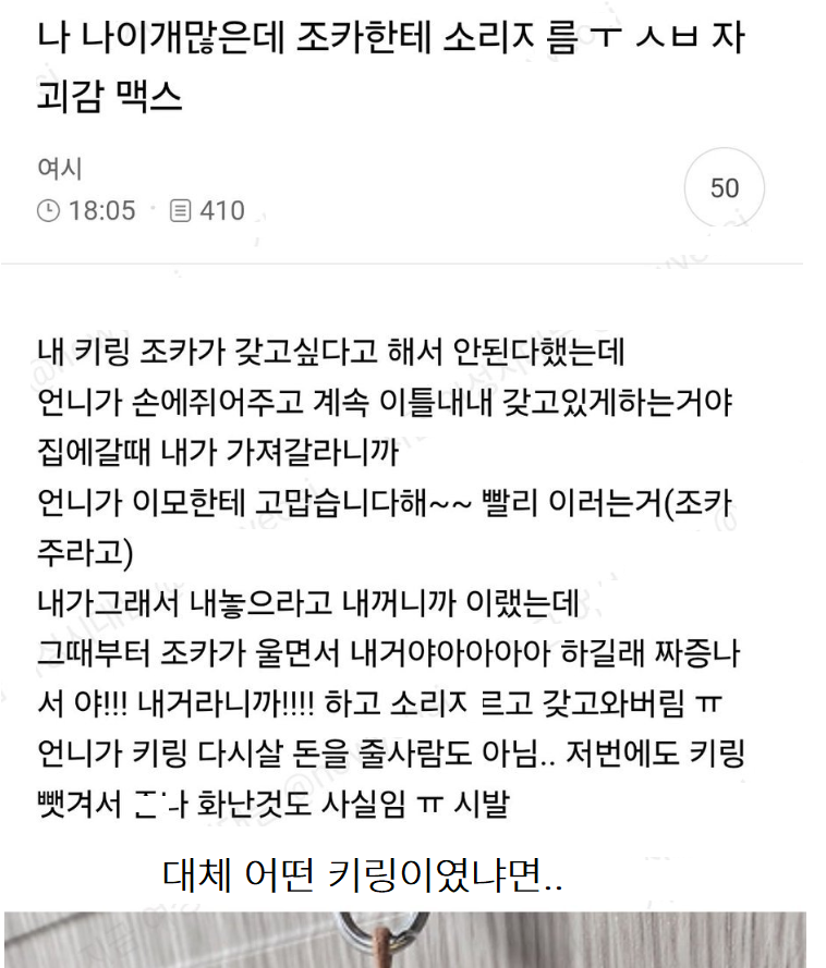 조카가 키링뺏어가려해서 소리ㅈ름.jpg