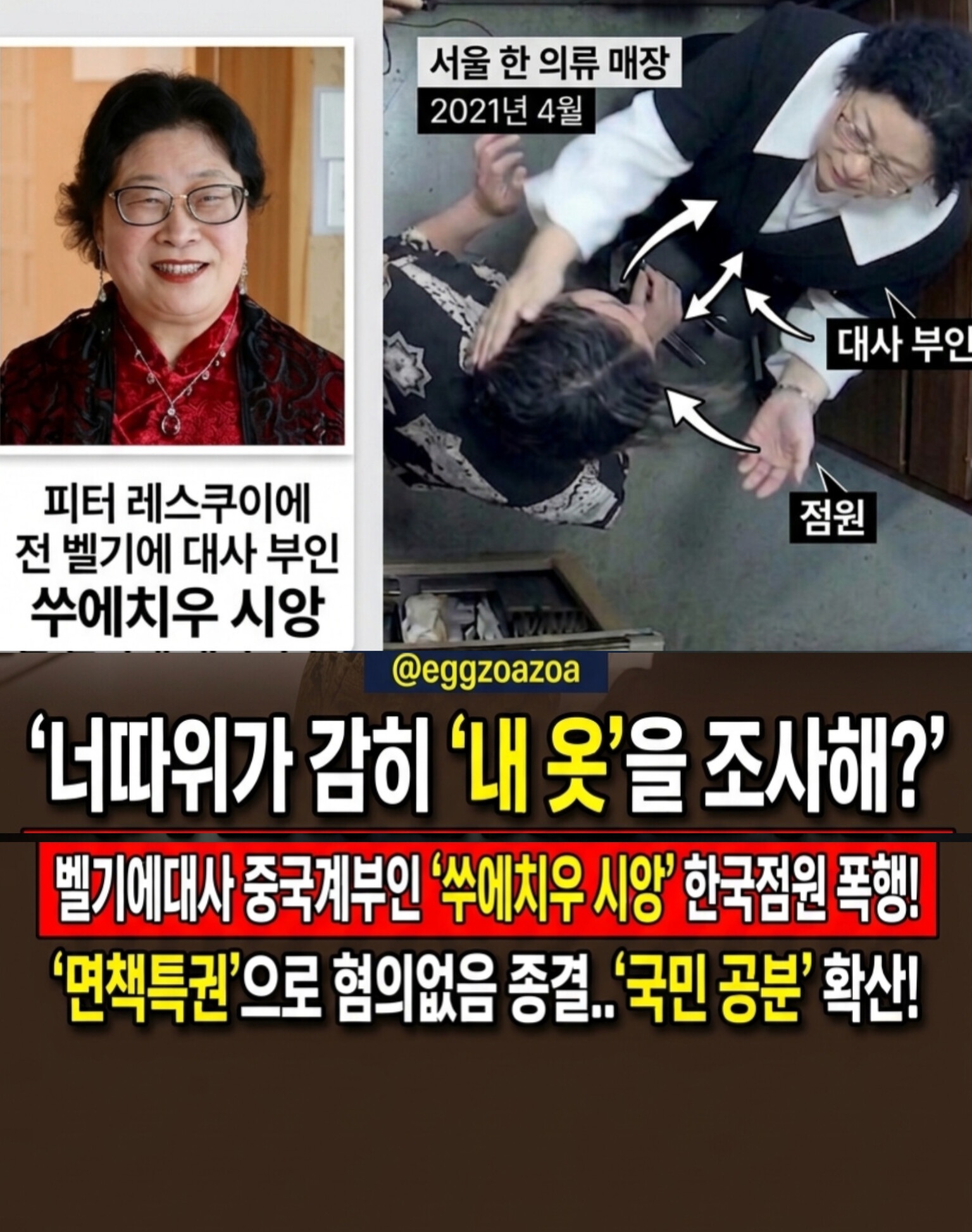 📣"감히 내 옷을 의심해?" 한국 점원 뺨 후려친 벨기에 대사 부인👉 '면책특권' 방패로 처벌 피하나🚨
