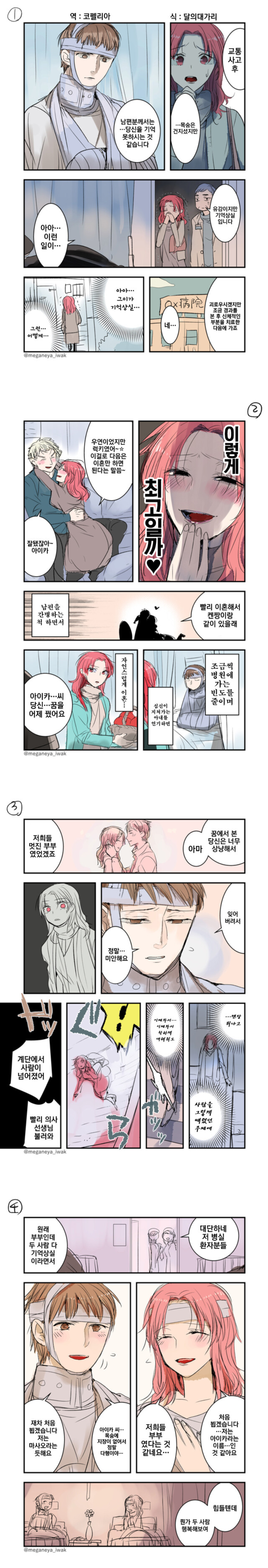기억상실 부부