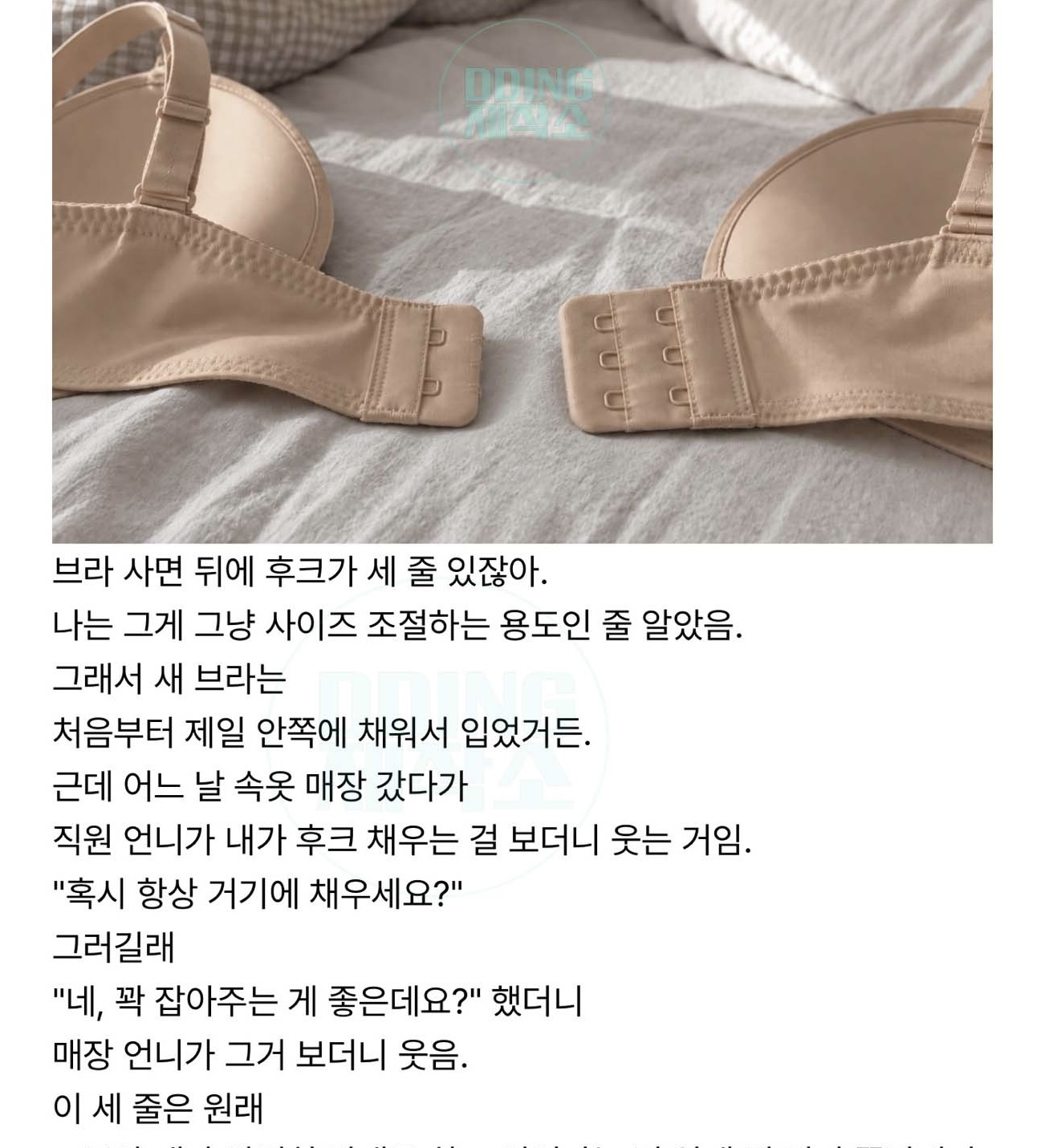 브라 뒤에 있는 세 줄 후크의 정체