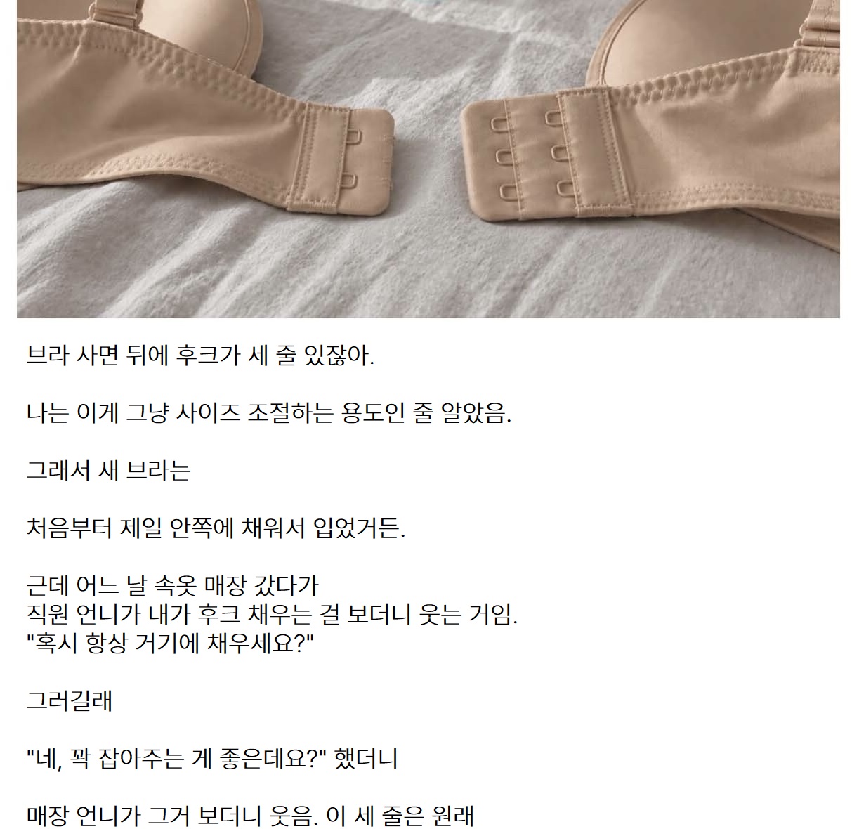 브라 뒤에 있는 세 줄 후크의 정체