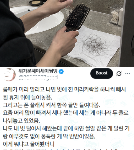룸메가 머리 말리고 나면 빗에 낀 머리카락을 하나씩 빼서 흰 휴지 위에 늘어놓음