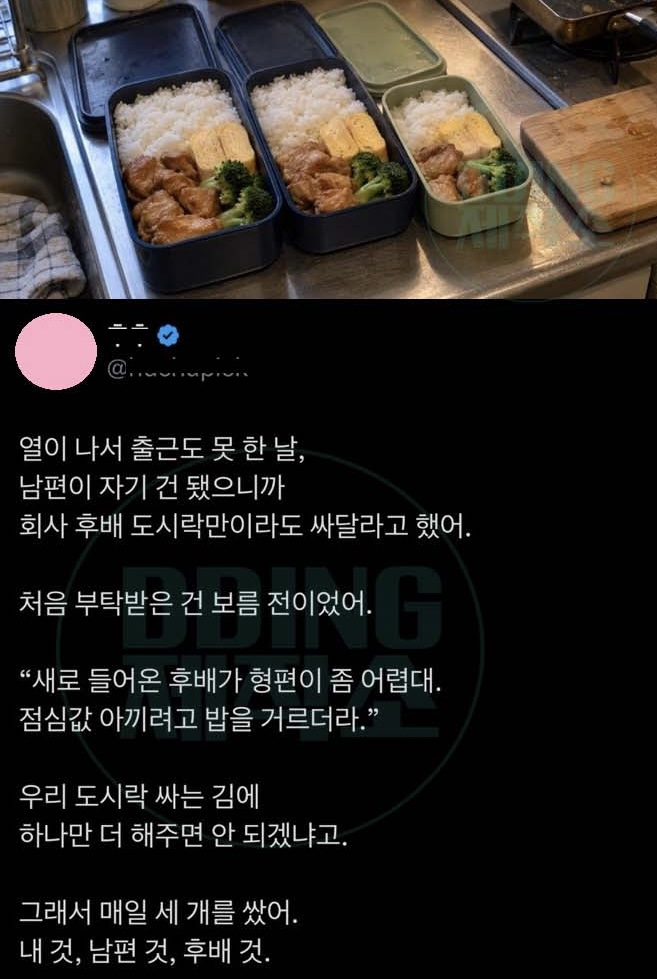 남편이 자기 도시락은 됐으니까 회사 후배 도시락만이라도 싸달라고 했어.
