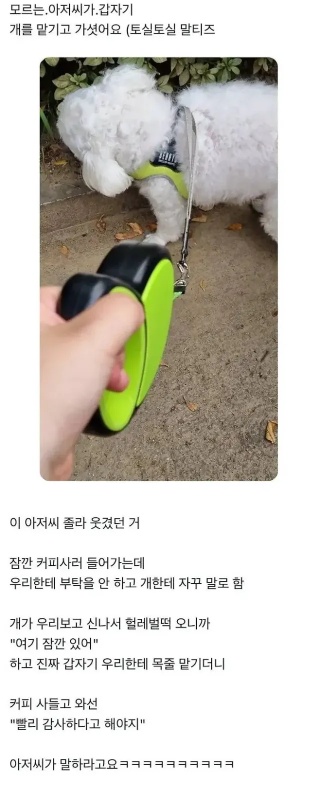 개웃긴 토실토실 말티즈 아저씨 이야기