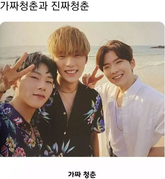 가짜 청춘 vs 진짜 청춘 비교
