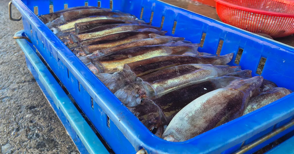 "3일 여행에 100만원 훌쩍" 제주도보다 비싼 '울릉도' 물가... 무슨 일?