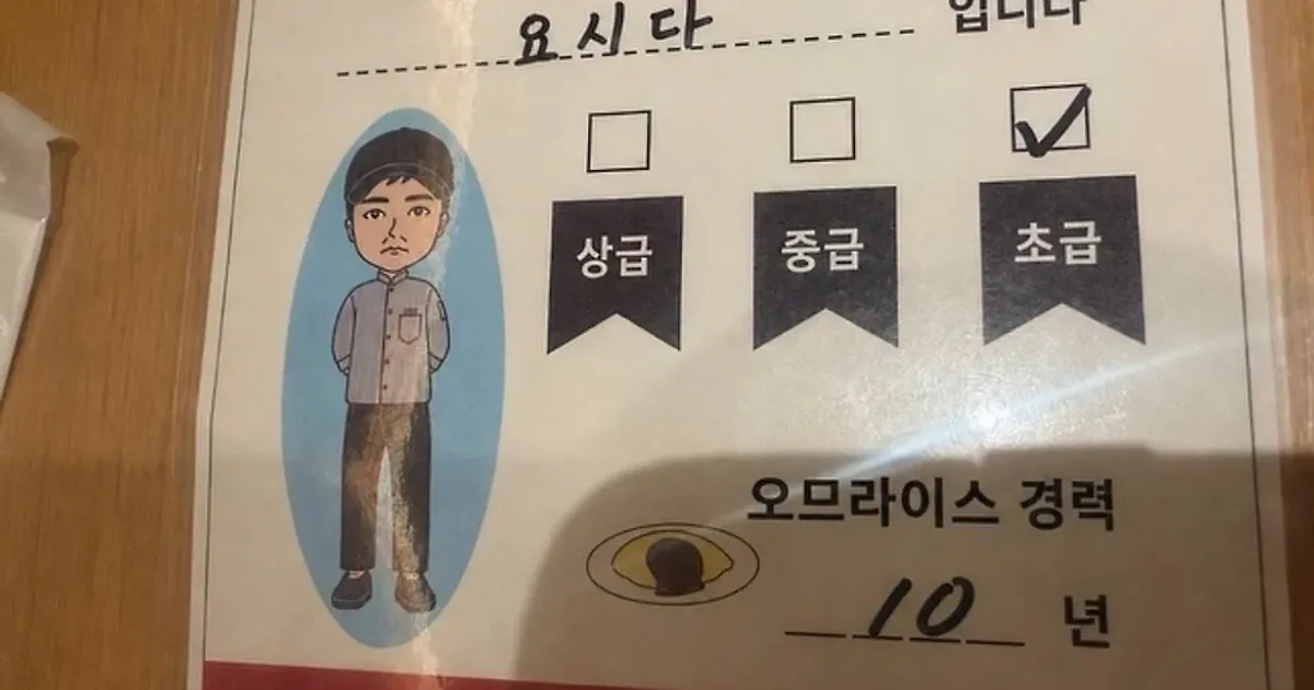 10년 경력이지만 초보