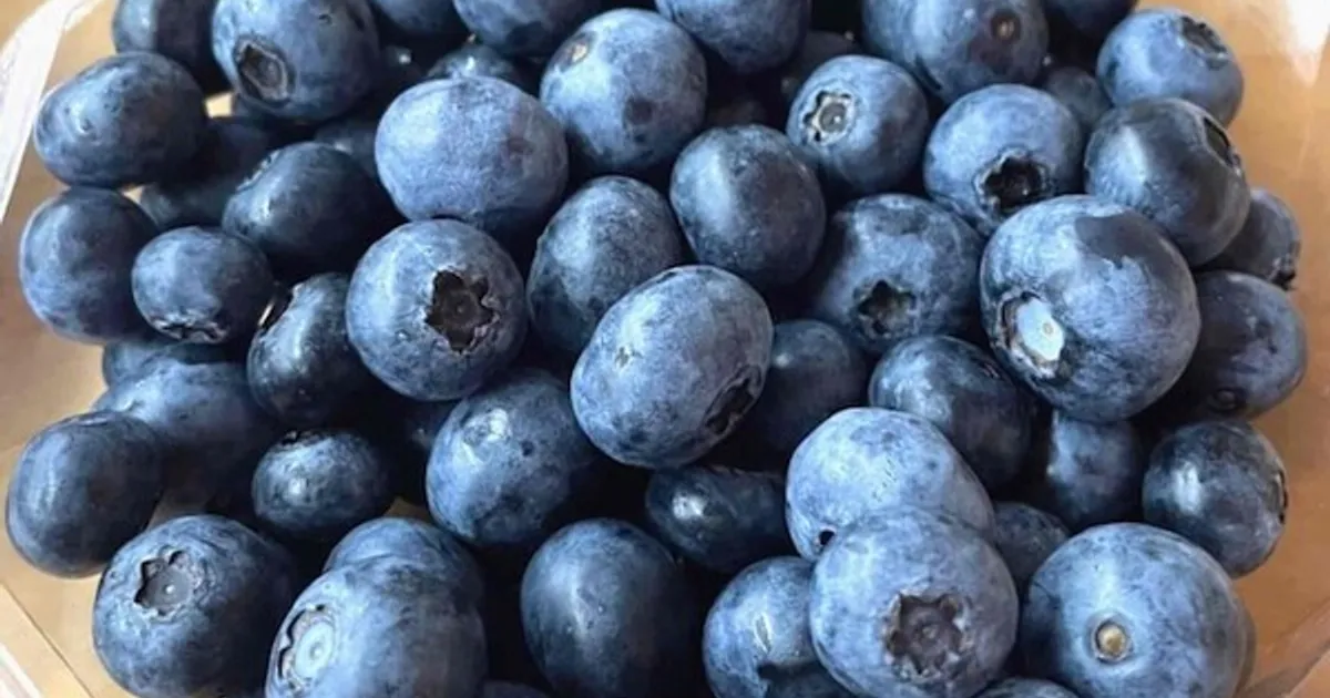 의사들이 매일 챙겨먹는 "이 과일" 치매 예방에 효과적입니다