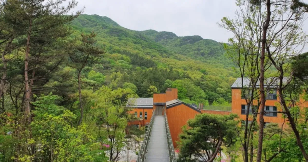 "짚라인부터 캠핑까지 한번에!" 대전 숲체원, 도심 속 자연 모험장