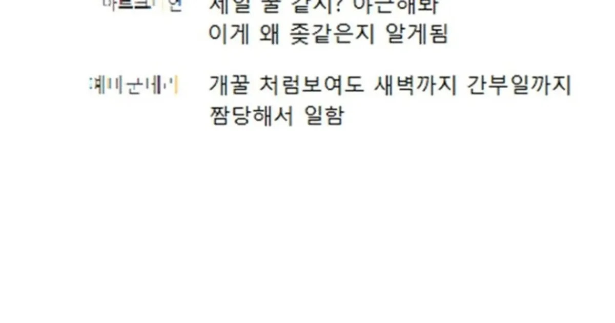 군필자들이 선정한 군대 헬보직 TOP 20