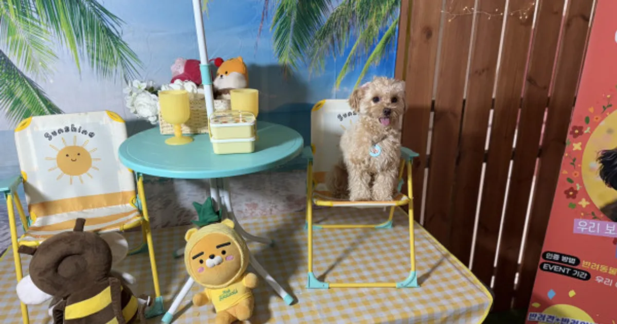 신나건 알겠는데  눈물은 그만 흘리자~