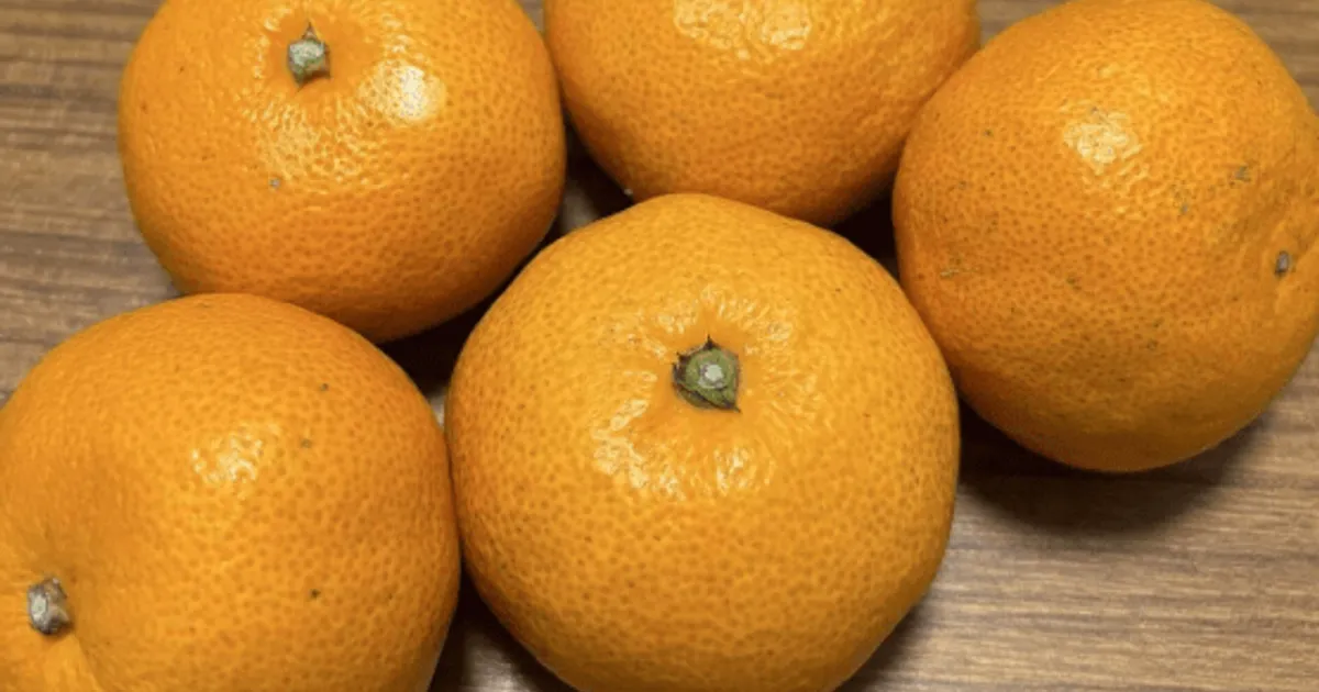 마트에서 사온 귤을 "이 방법"으로 만드세요, 겨울철 감기 걱정 없습니다.