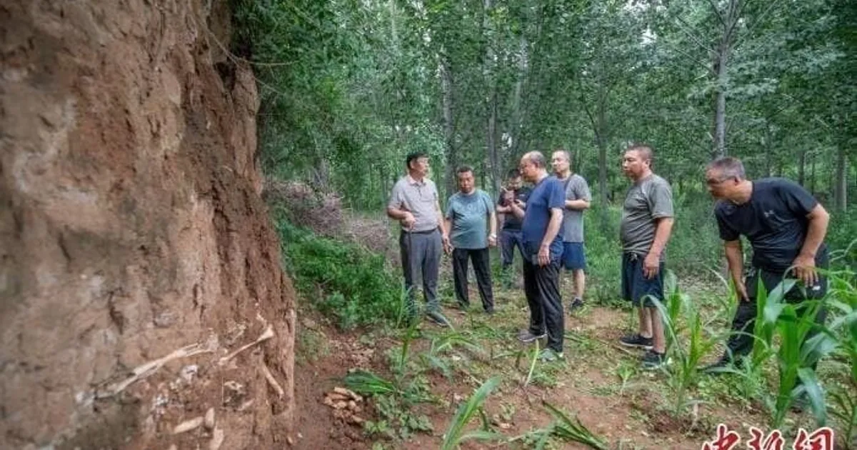 혐?) 인간 백골로 이루어진 지층이 발견되는 나라		,,
