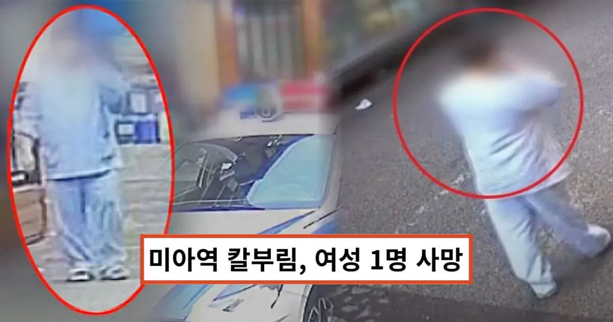 미아역 '마트 칼부림' 30대 男, 범행 직후 태연히 한 행동 CCTV 포착 '소름' (+흉기 난동)