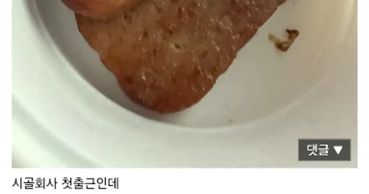 첫출근했는데 회사 잘못온거같다는 사람
