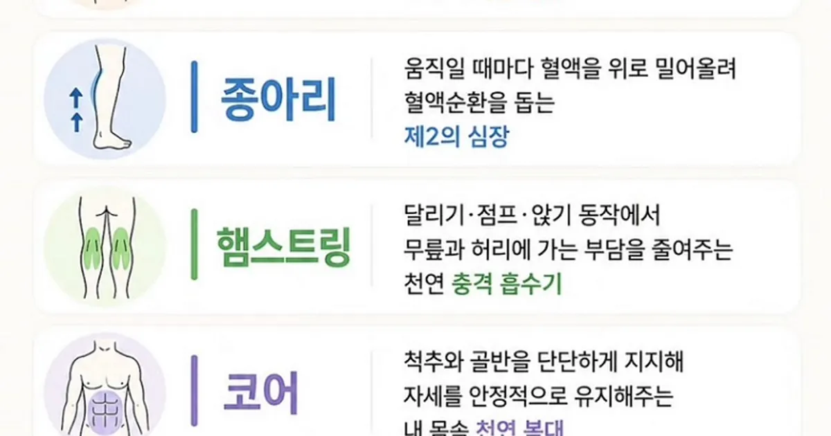 당신이 잘 모르는 인체 부위 별 진짜 담당 업무
