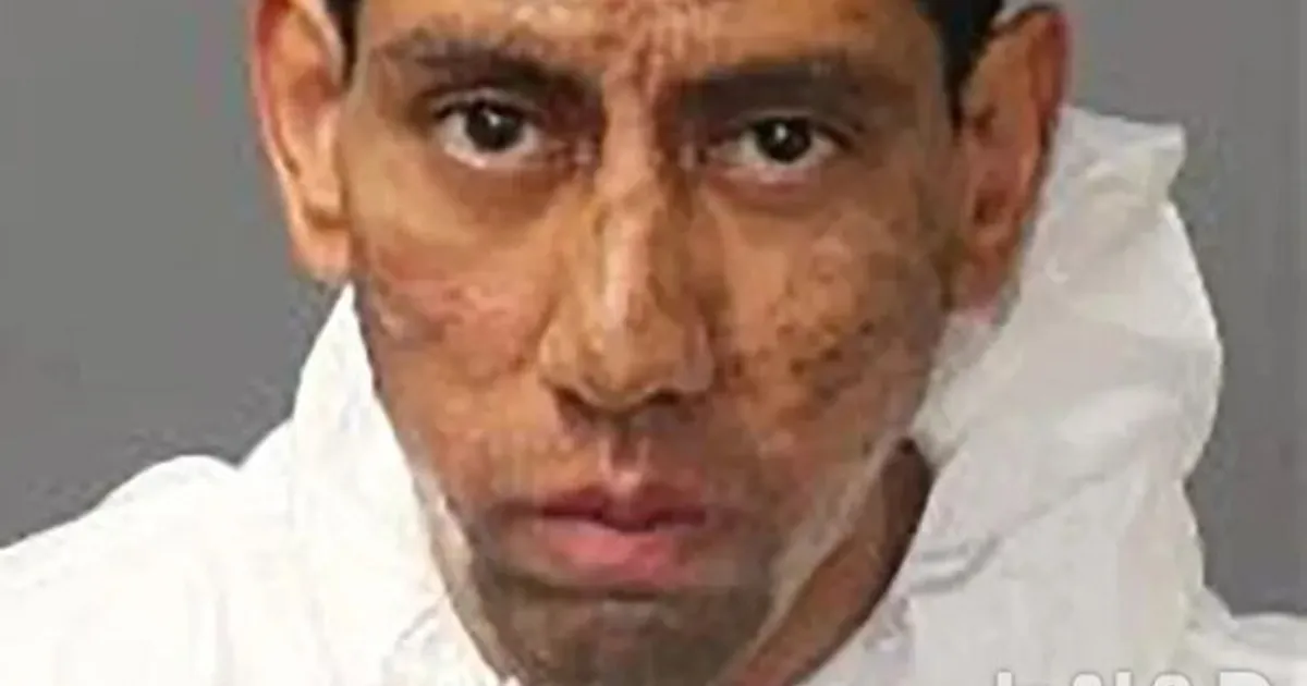 "바퀴벌레가 시켰다"…2명 살해한 미국 남성 체포