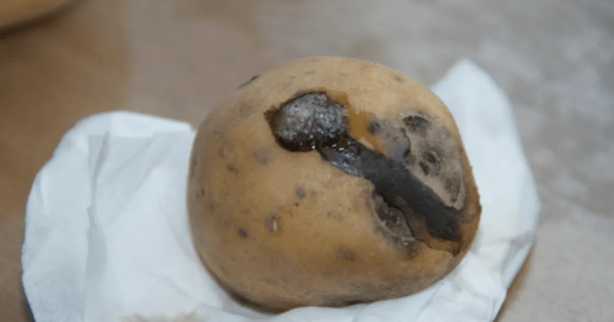 당장 빼세요.."냉장고에 넣으면 하루만에 독덩어리 되는 음식" 1위 이것.