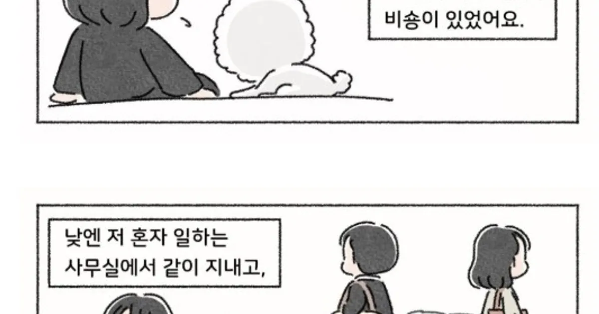 무슨 생각으로 사연을 보낸건지 작가도 댓글도 어이터지는 중인 사연툰
