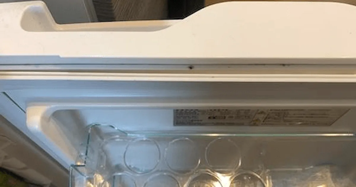 냉장고 고무에 "이것"을 뿌려보세요, 곰팡이 사라지고 살균까지 됩니다.