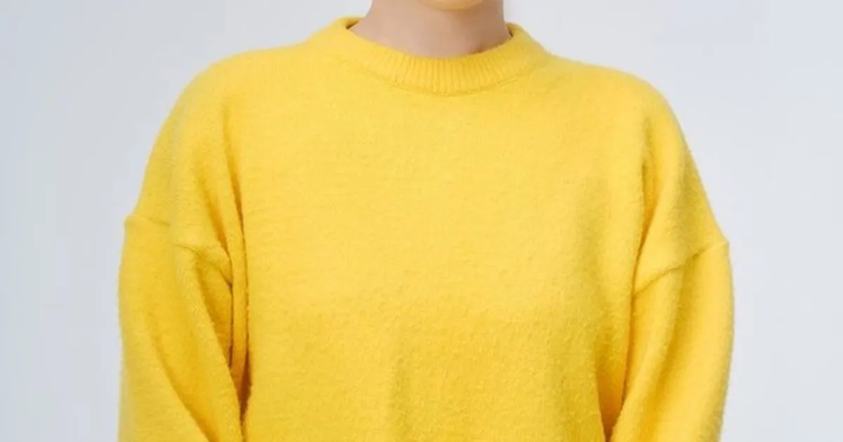 주사이모 논란…입짧은햇님 구독자 5만명 손절