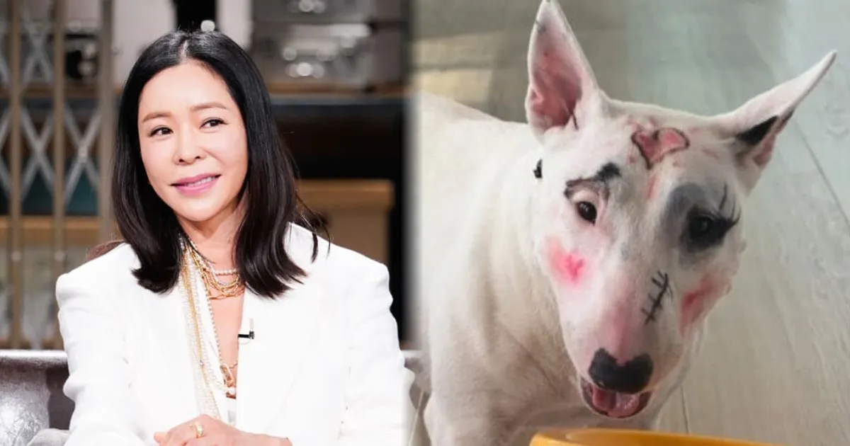 이혜영, 동물학대 논란? 반려견 얼굴에 화장 덕지덕지..."결막염·각막궤양 이어질 수 있어"