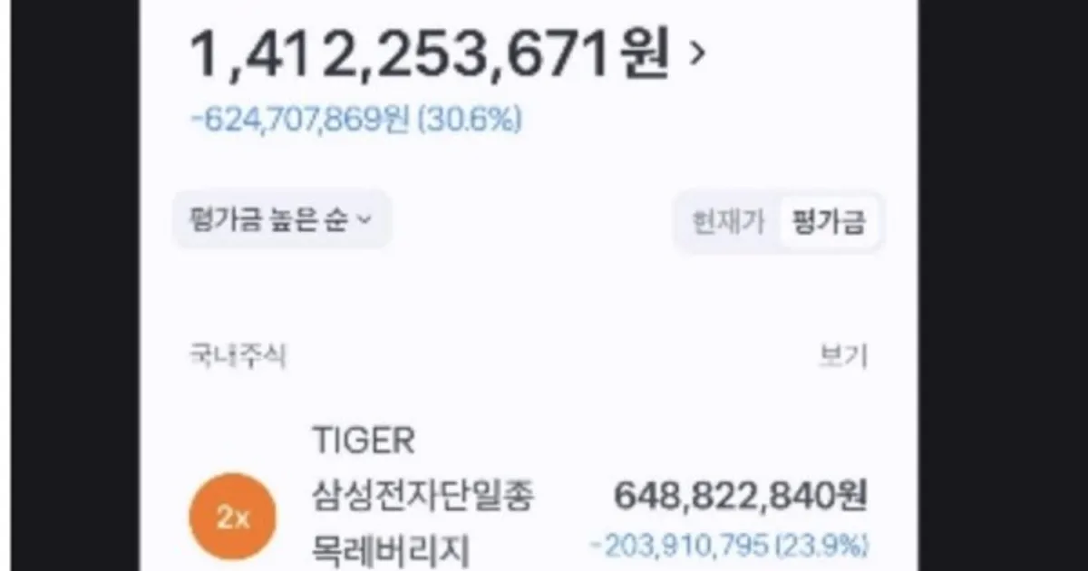 삼전닉스 레버리지 20억 몰빵한 사람 ㅎ