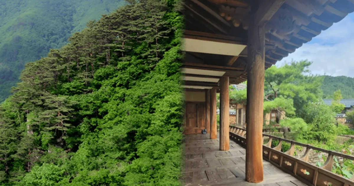 "사람보다 자연이 더 많은 곳!"...초봄 자연 속에서 쉬어가기 좋은 영양 가볼만한 곳 BEST 4 추천