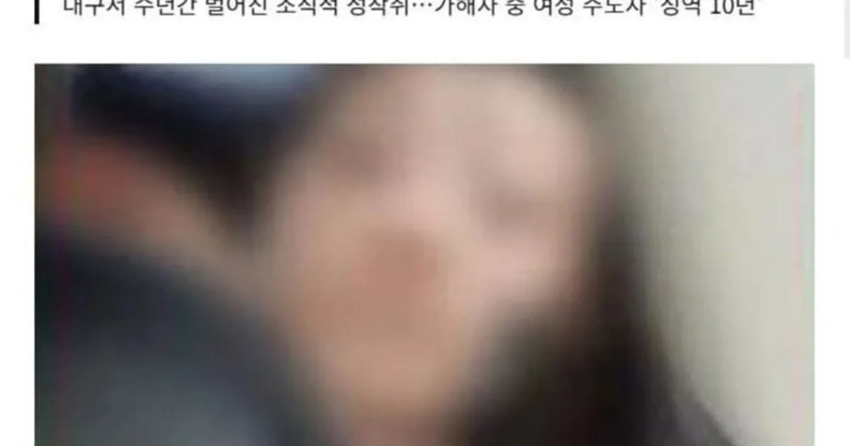 한국어인데도 이해하기 힘들다는 그알 여왕벌 사건		,,