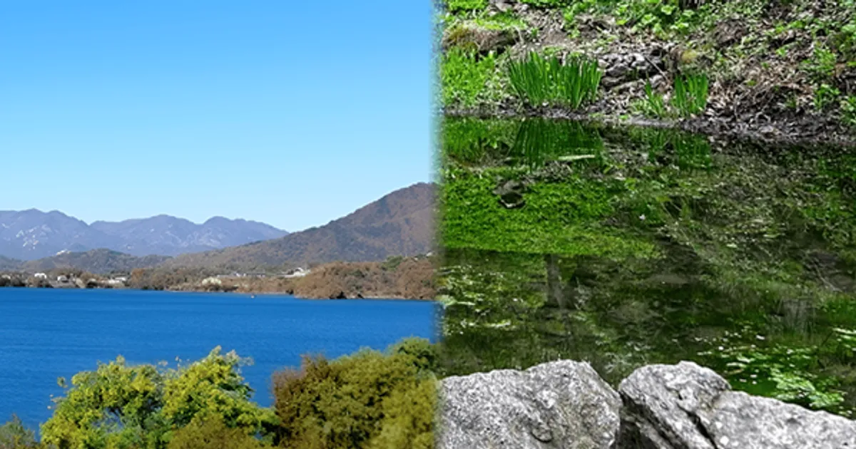 "하룻밤이 아쉬운 풍경!"…올 가을 힐링을 원한다면 놓쳐선 안 될 가을 캠핑장 BEST 4 추천