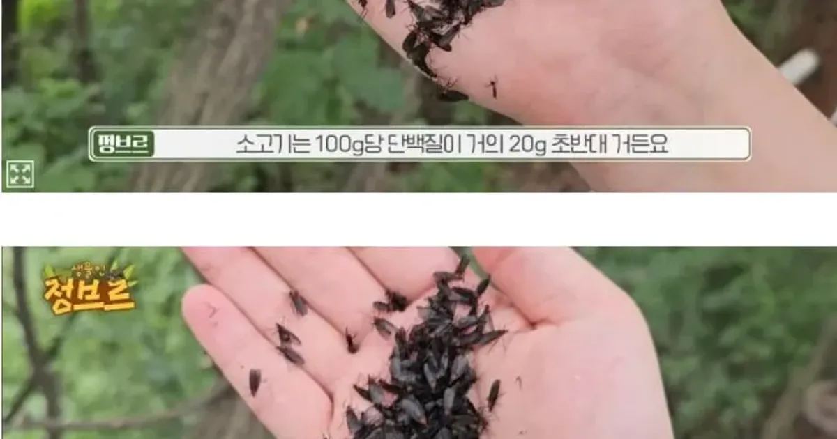 드디어 나온 헬창들의 게임체인저,,